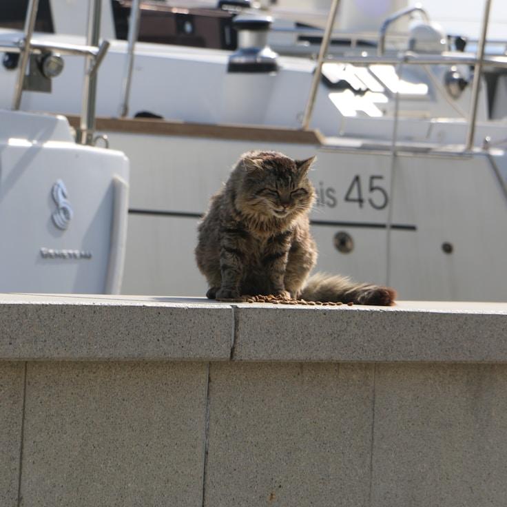 Lifestyle aboard a yacht
